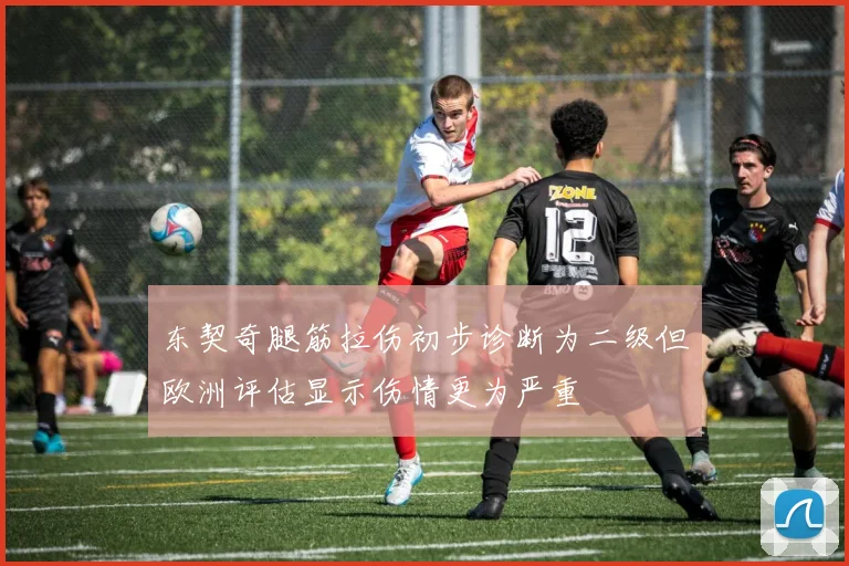 东契奇腿筋拉伤初步诊断为二级但欧洲评估显示伤情更为严重