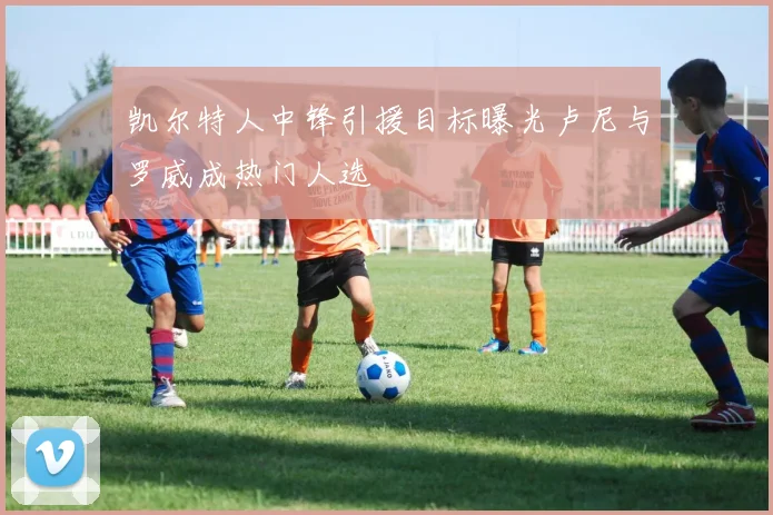 凯尔特人中锋引援目标曝光卢尼与罗威成热门人选